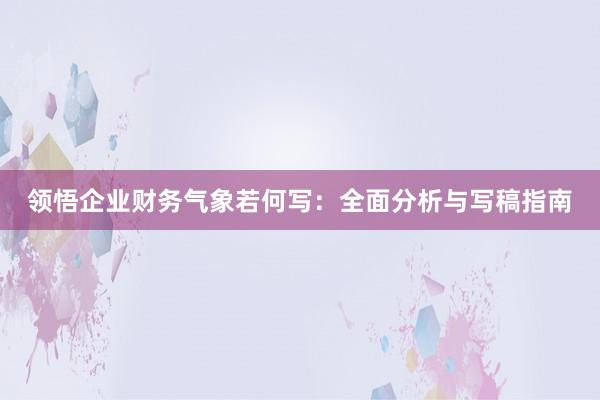 领悟企业财务气象若何写：全面分析与写稿指南